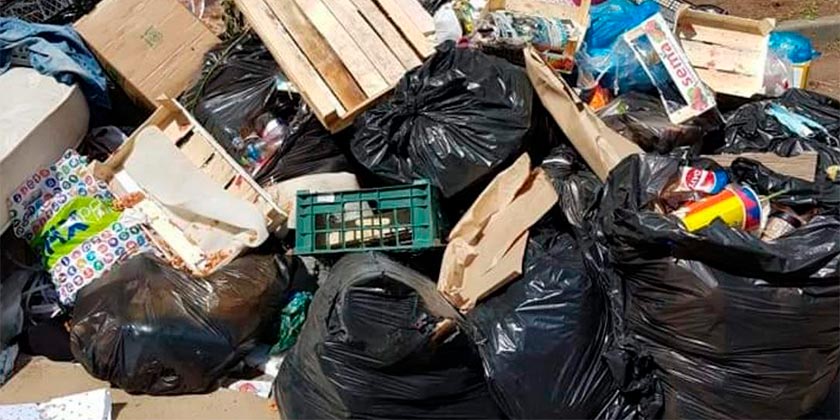 Представители муниципальной Общественной палаты обнаружили мусор у городского суда