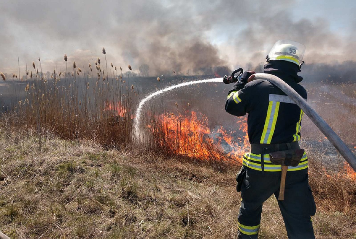 За неделю в Подмосковье огнеборцы ликвидировали 78 возгораний травы