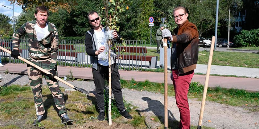 Посадки жуковский. Ребята посадили березы и клены картинка.