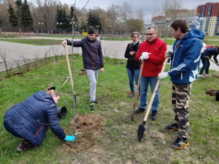 В Жуковском прошла акция «Лес Победы» лес
