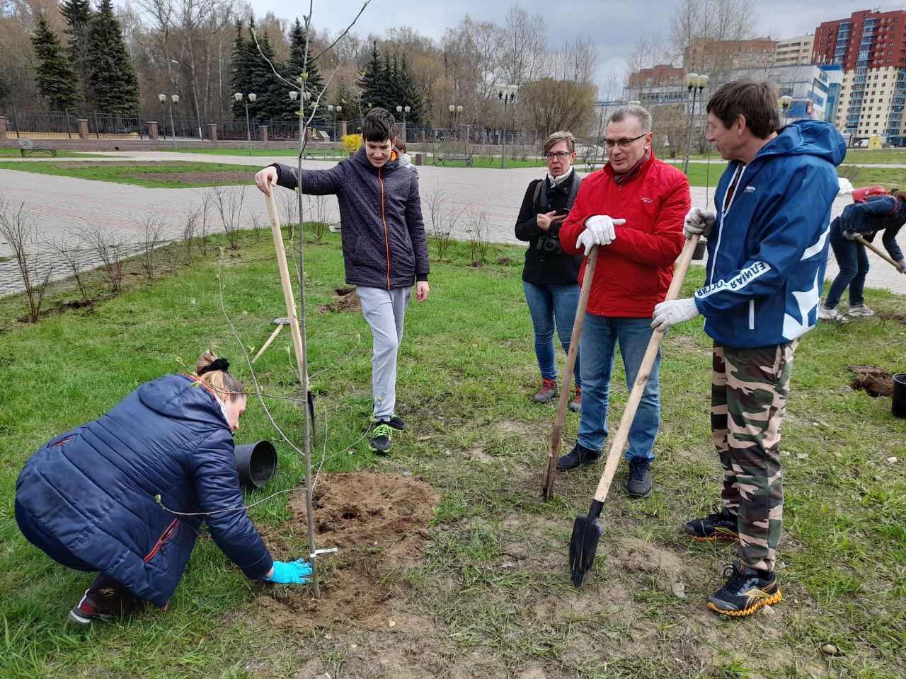 В Жуковском прошла акция «Лес Победы» | Жуковский - Городская служба  новостей