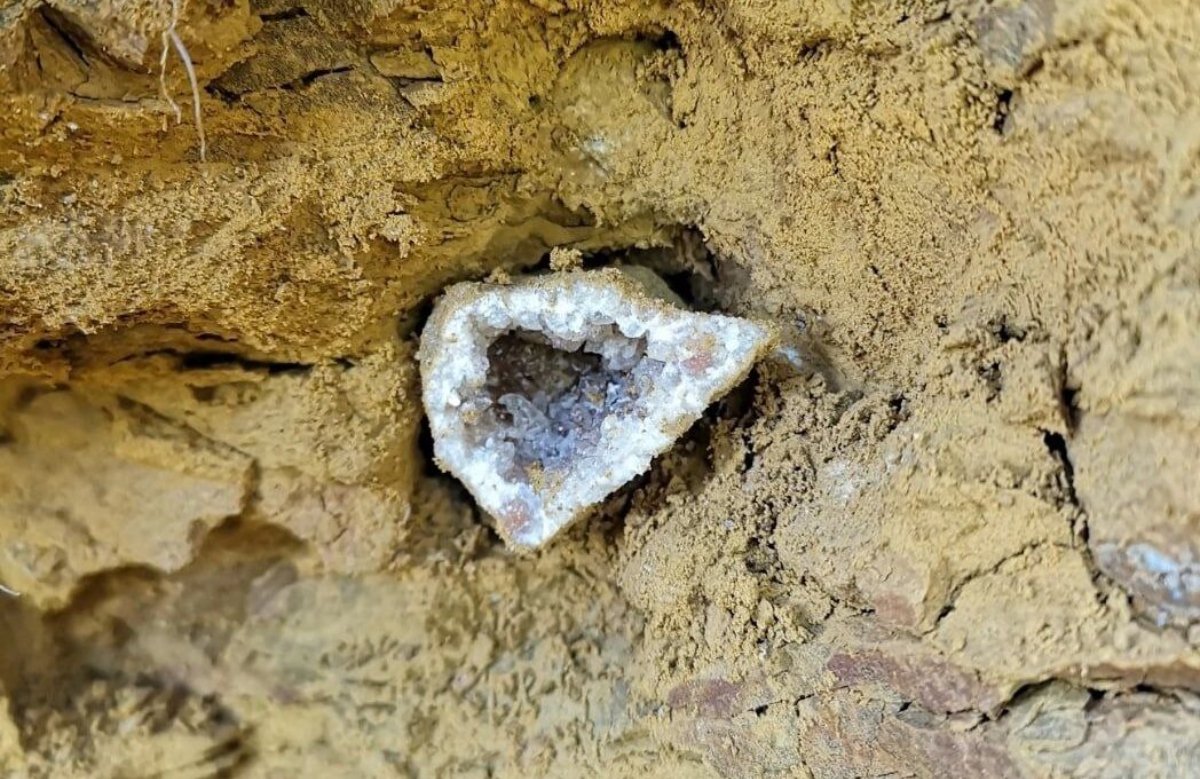 Полудрагоценные камни и окаменелости в Подмосковье: топ самых интересных мест